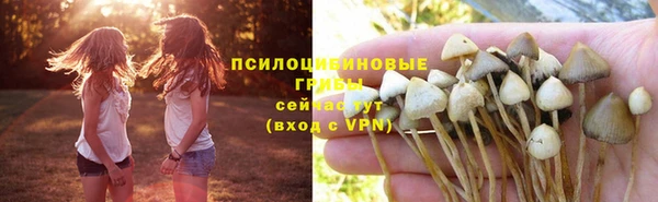 молекула духа Навашино
