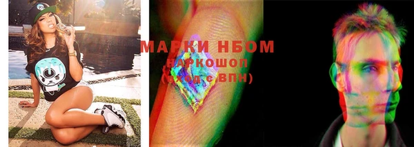 сатива Надым