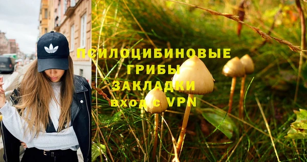 молекула духа Навашино