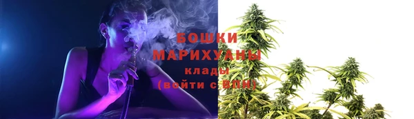 сатива Надым